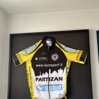 PARTIZAN-